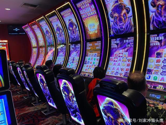 探索PG电玩恐龙帝国史前冒险世界的刺激玩法与独特魅力