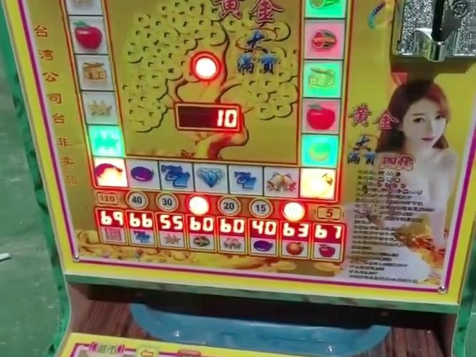PA娱乐宠物乐园注册后开启萌宠欢乐互动新旅程